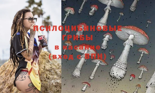 мяу мяу мука Майский