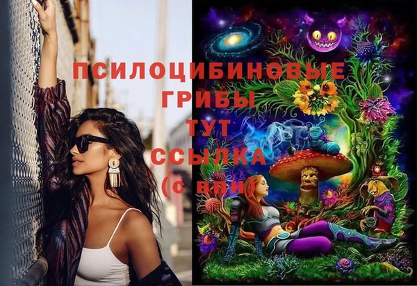 мяу мяу мука Майский