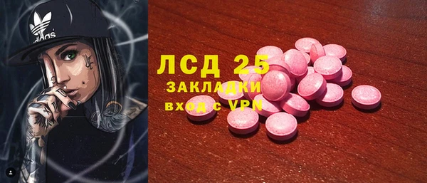 шишки Сосновоборск